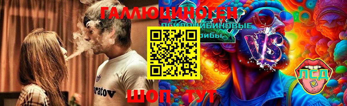 Галлюциногенные грибы Psilocybe Семёнов